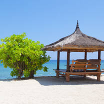 Paradise