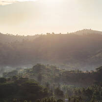 Lombok landscape