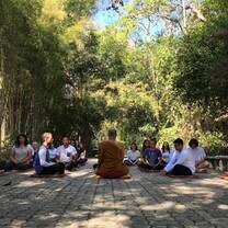 Meditation for our Buddhism class
