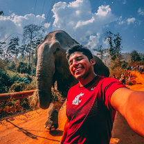 Trekking tour through USAC: Walking with elephants (amazing experience)