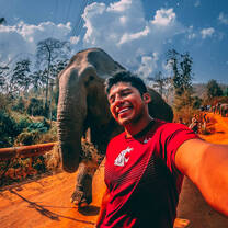 Trekking tour through USAC: Walking with elephants (amazing experience)
