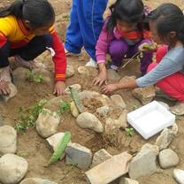 kids are planting vegetables