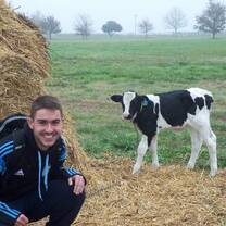 The guy and the cow