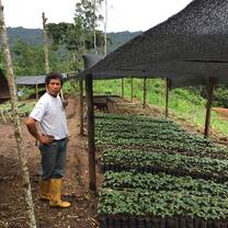 man standing in front of small plants 