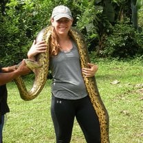 Anaconda in the Amazon