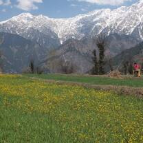 nepal landscape