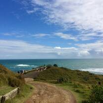 Beautiful Muriwai Beach, oben of my favorite spots here