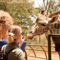 Kidogo Adventure - out & about 