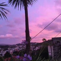 a lovely sunset in front of our house near the Kelburn campus