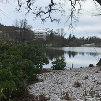 The Loch on UStirling's campus