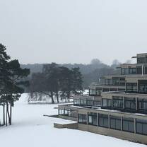 UEA in the snow