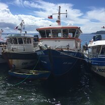 Chiloe Boats