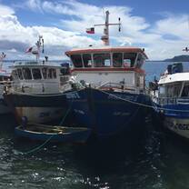 Chiloe Boats