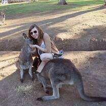 Feeding Kangaroos