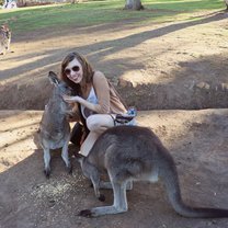 Feeding Kangaroos