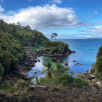 Photo from trail on Stewart Island