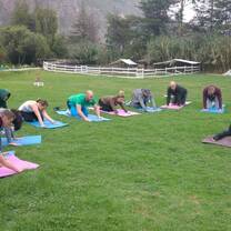 Yoga Lessons