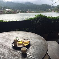 Novice Monks in Training