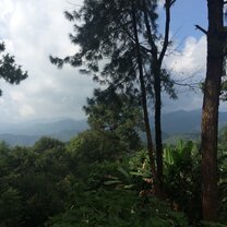 Novice Monks in Training