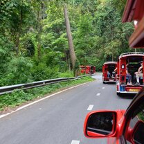 Novice Monks in Training
