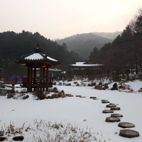 Garden, 
