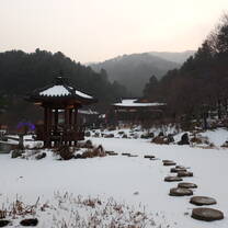 Garden, 