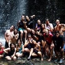 In the Jungle!