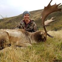 Hunting fallow deer in New Zealand