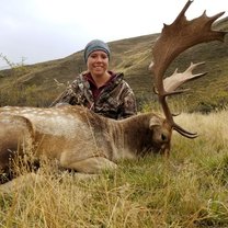 Hunting fallow deer in New Zealand
