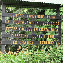 sign in the forest