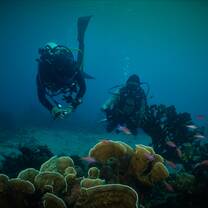 Diving