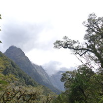 South Island, New Zealand