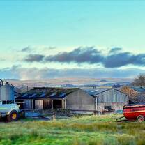 Hartwell dairy farm, my homestay