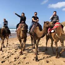 With the program we went to Morrocco, we were riding camels while we appreciated the shores of the Mediterranean Sea.