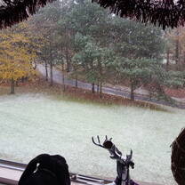 From the Constable Terrace accomodation, this is a very rare snowy morning come Christmas time