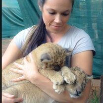 Ireland  Cuddle time with baby cubs