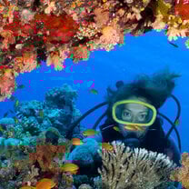 ARCC Gap - Pacific Islands Gap Semester - Image: SCUBA Diving in Fiji