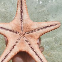 Picture of my holding a starfish.