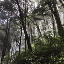 Zunil, Quetzaltenango