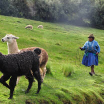 Community Building and Sustainable Development in Peru