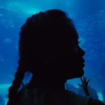 The silhouette head looking out into blue wide waters of the Atlantic Ocean 