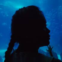 The silhouette head looking out into blue wide waters of the Atlantic Ocean 