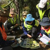 Conservation Volunteering In New Zealand with VS