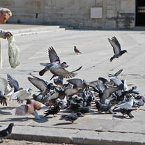 Avignon France Elderly