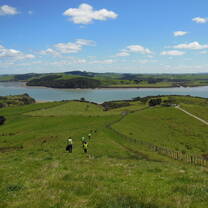Ātiu Creek Regional Park (Auckland)