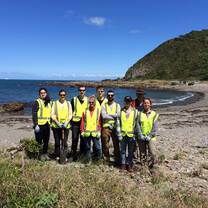 Dune restoration in Wellington