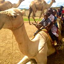 Arusha Tanzania Camel excursion