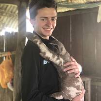 A sloth