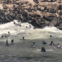 Getting close to sea lions!