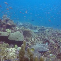 One of the dive sites